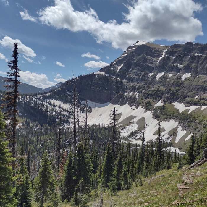 Near Sage Pass Trail