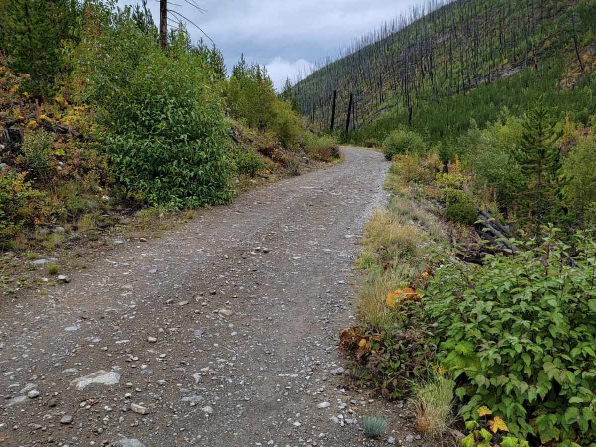 Trail Creek to Graves Creek trail photo