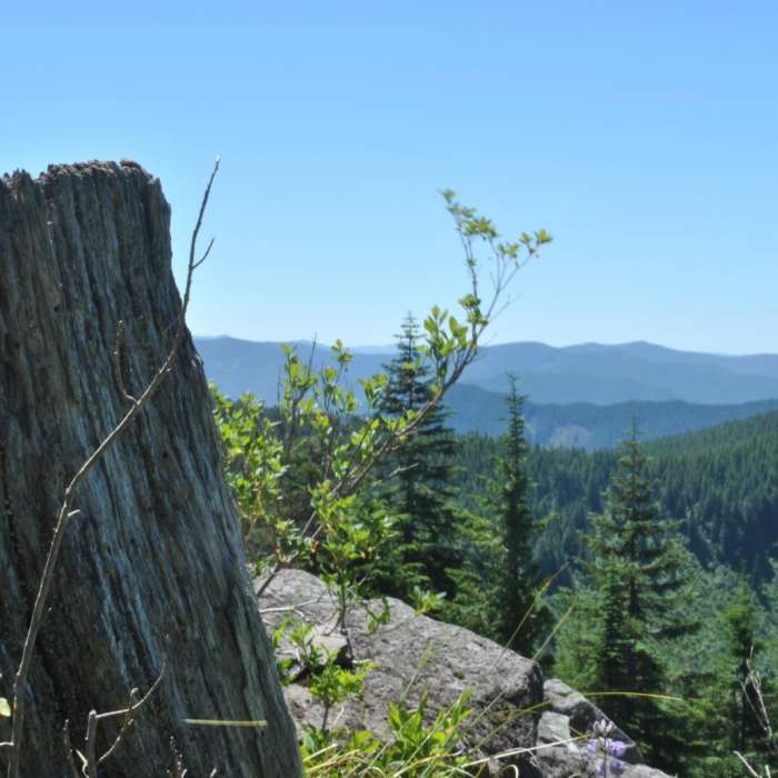 Near Zig Zag Mountain via the Horseshoe Ridge Trail
