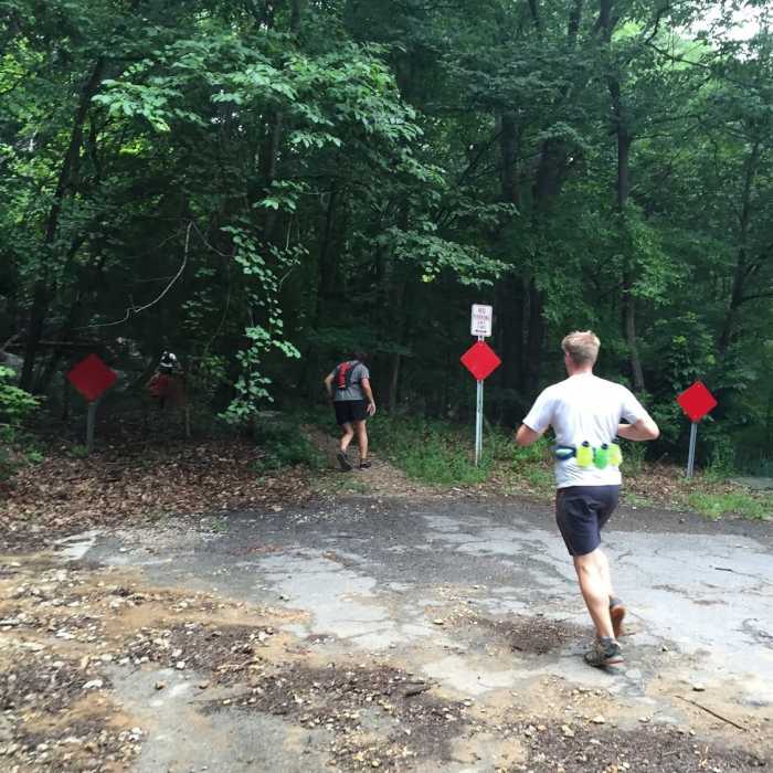 Near Jean Shorts Special