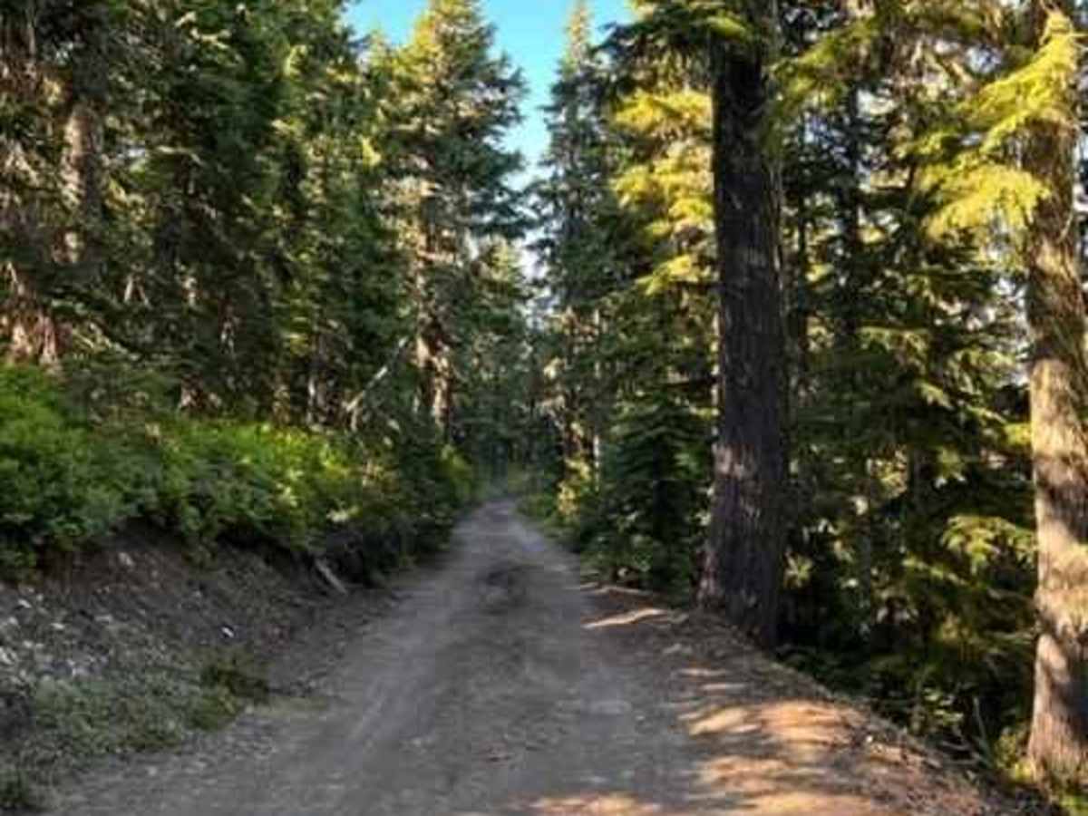 Badger Lake Via Bennett Pass photo 2