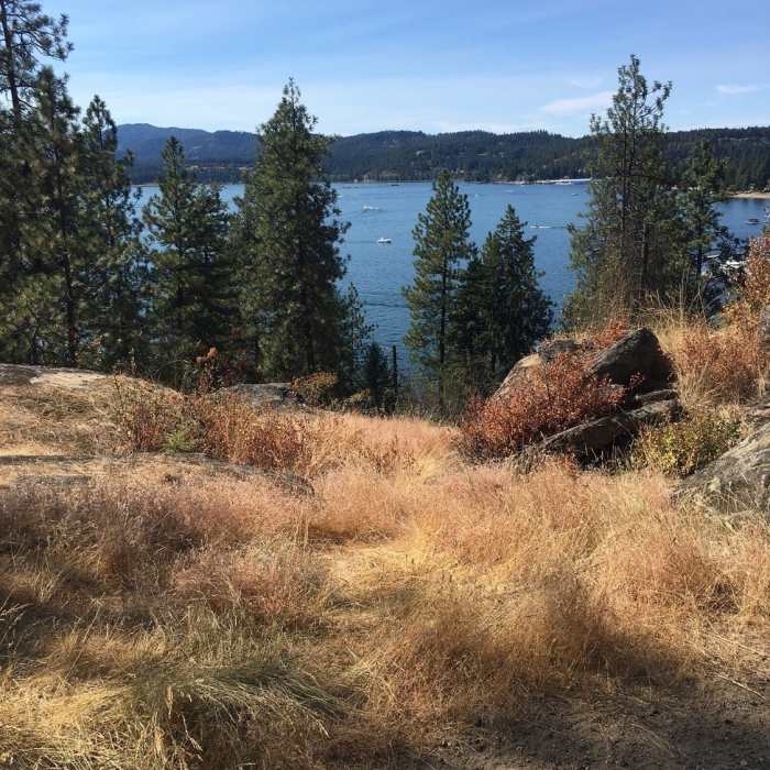 Near Tubbs Hill Main Trail