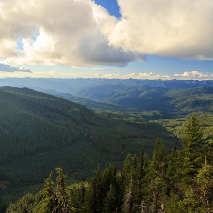 Near Bachelor Mountain