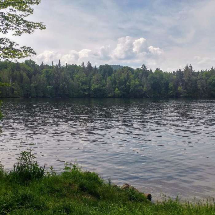 Near Whiteface Landing