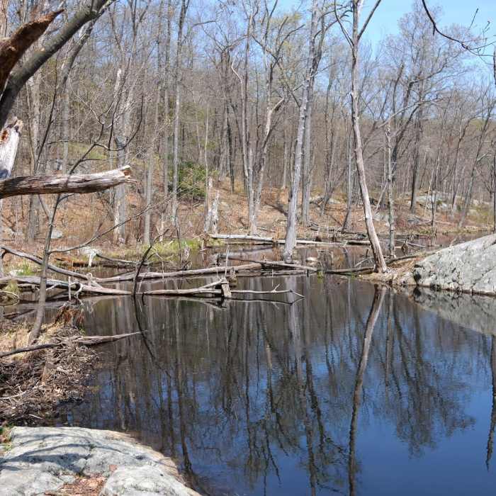 Red Trail - lake view Near Butler Reservoir Loop