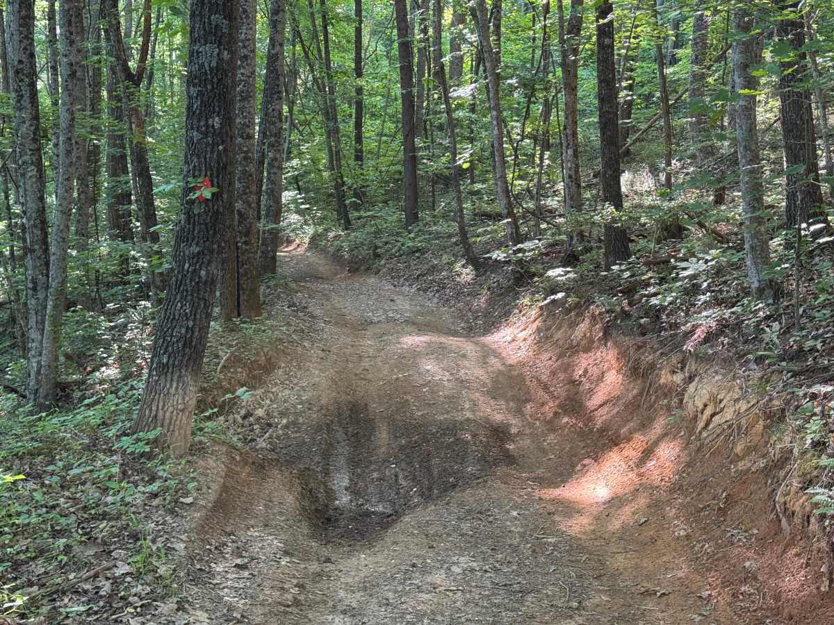 Beasley Knob Bitter Creek Loop - FS 93 photo 2