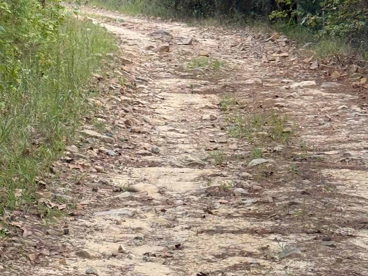 Polk Road 70 trail photo