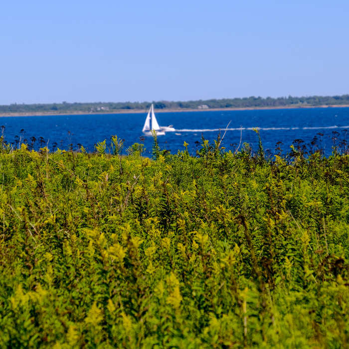 The Ocean Loop Trail Near Sachuest Point Figure-Eight