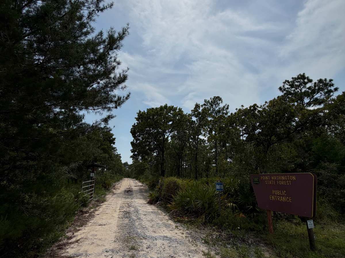 Point Washington State Forest Highway 98 Entrance trail photo