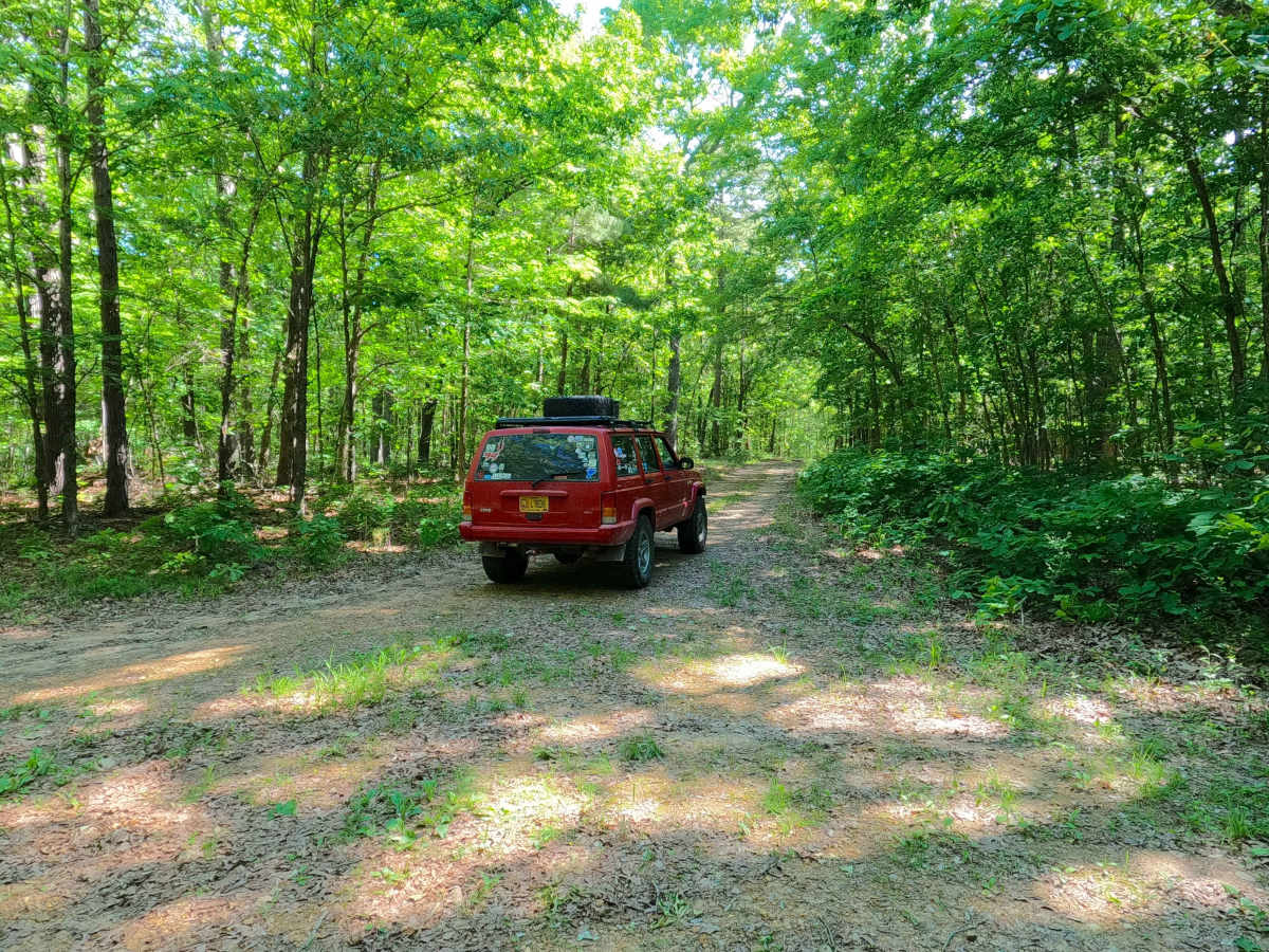 Bluegrass - FS 3528 photo 2