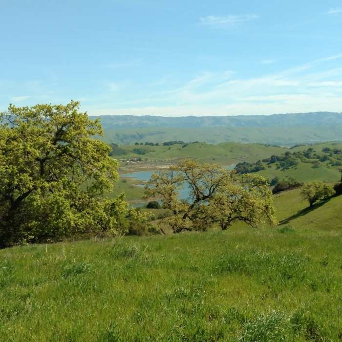 Near Vista del Oro Trail