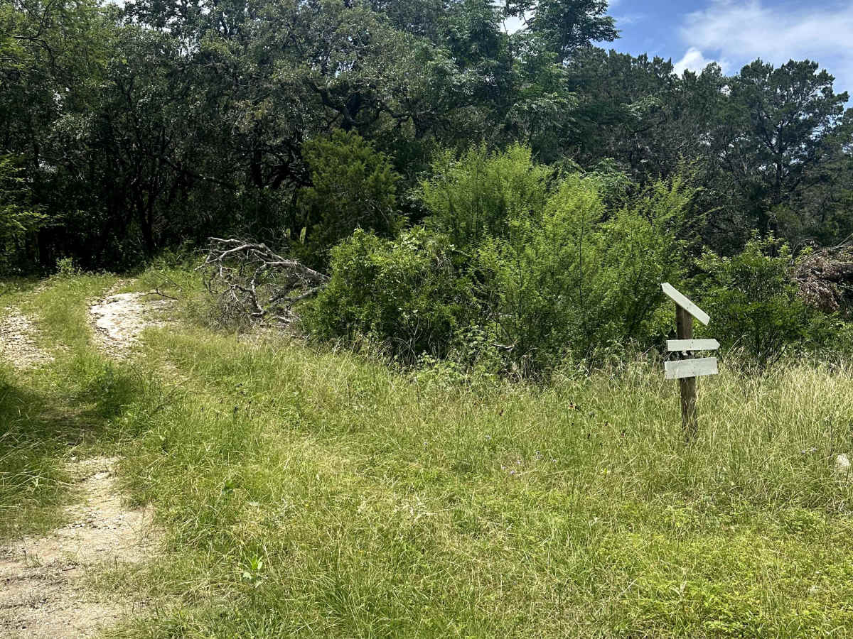 Shady Lane photo 6
