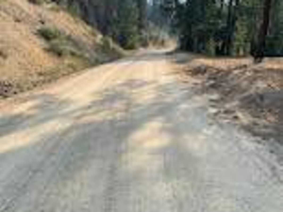 Thorn Creek Road photo 4