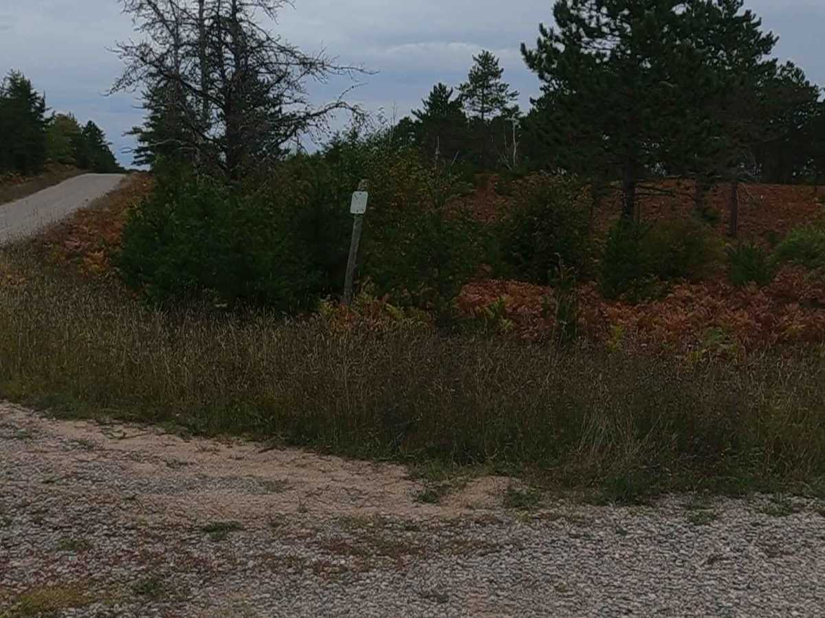 Flat Land - FSR 3036 photo 2