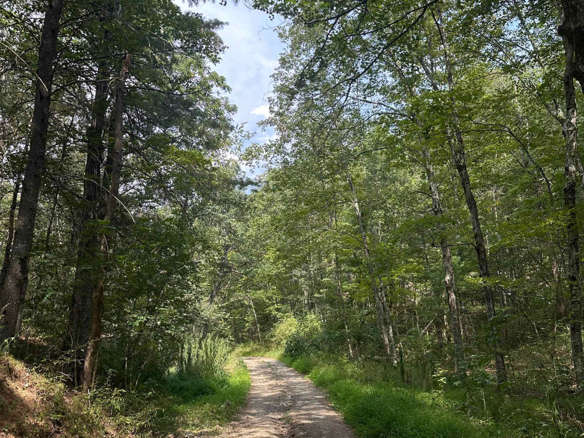 Kasecamp Loop photo 2