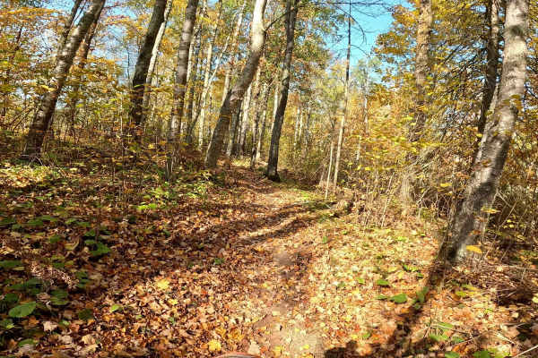 Tamarack Straight Arrow Blue Trail 