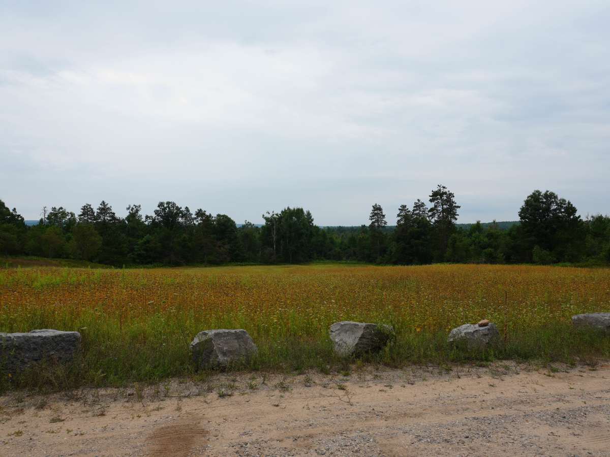 Chandler Dam Road photo 4