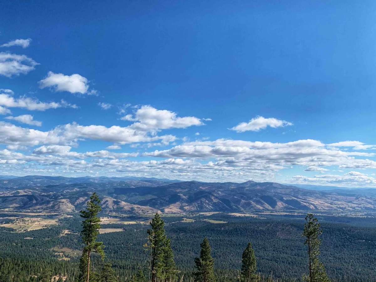 Lost Horse Observation Point photo 5