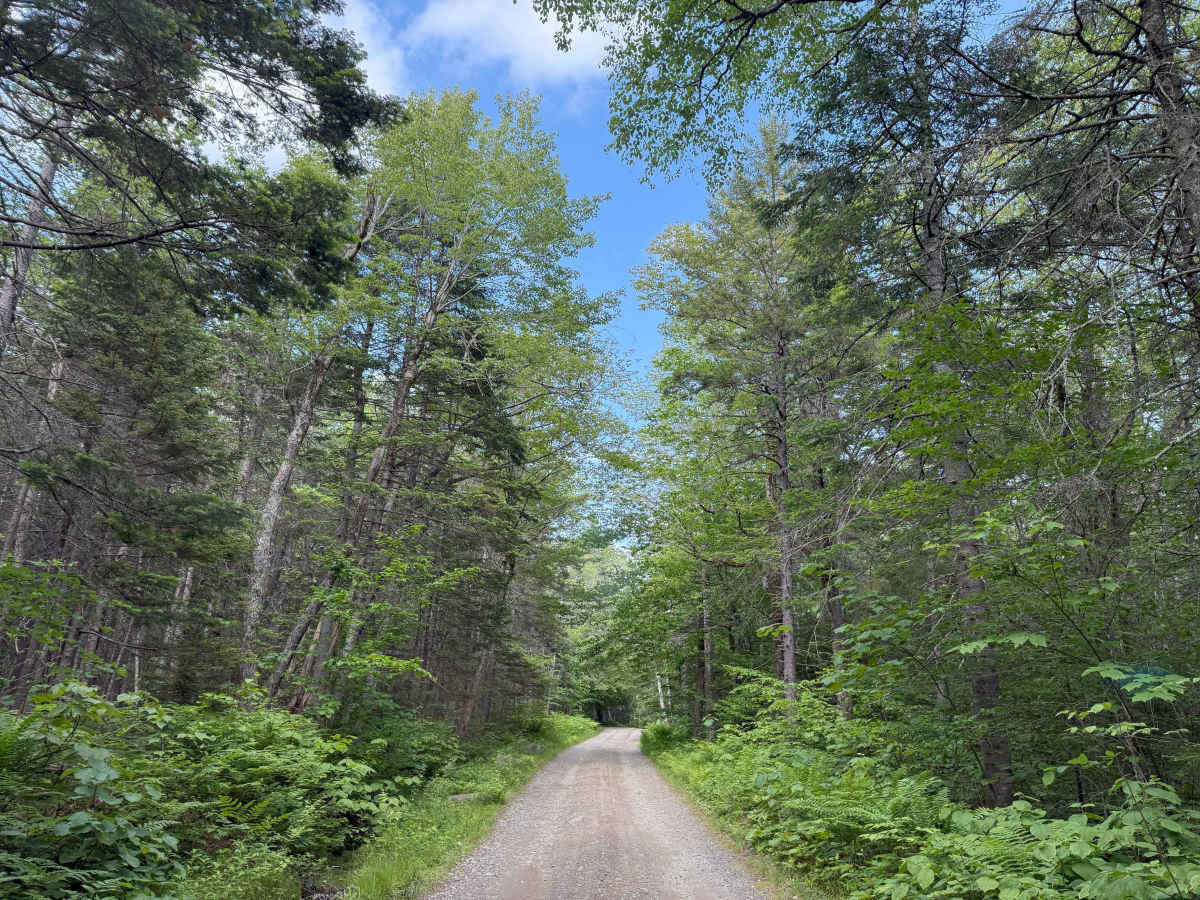 Sandwich Notch Road photo 4