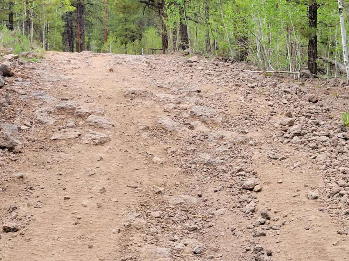 Henrie Knolls Summit trail photo
