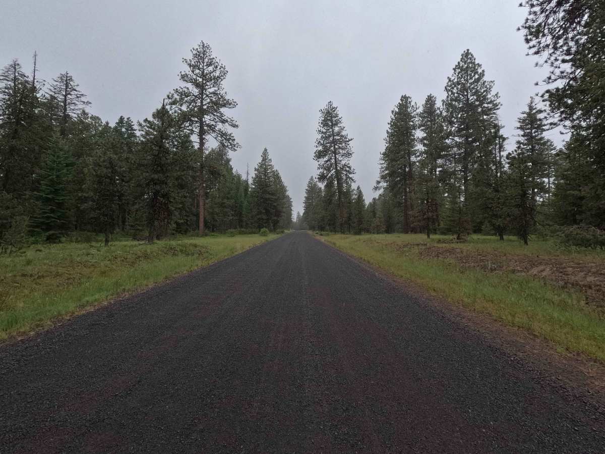 Skyline Road - FS 31 photo 6