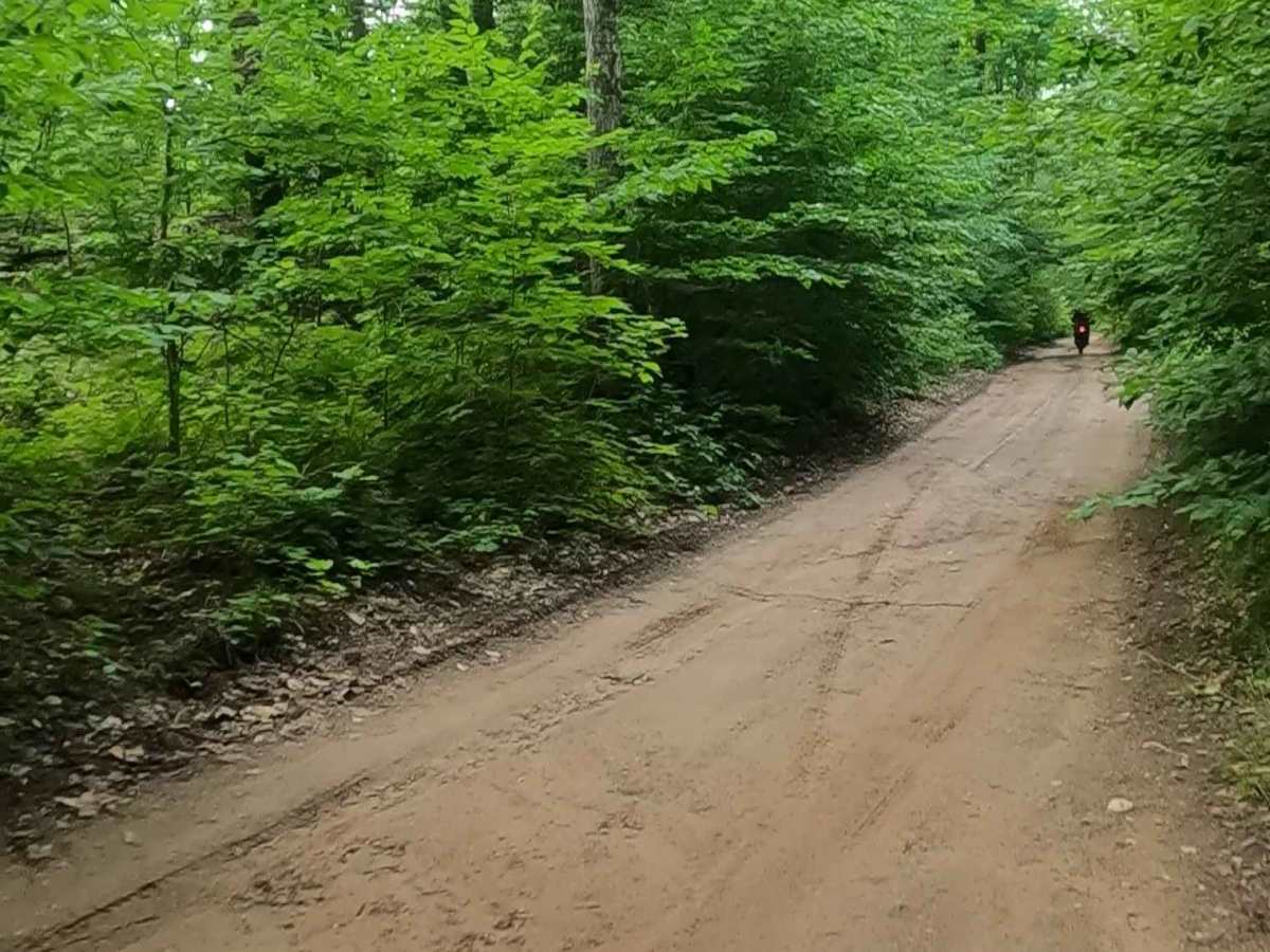 Booth Road - FSR 2225 East photo 5