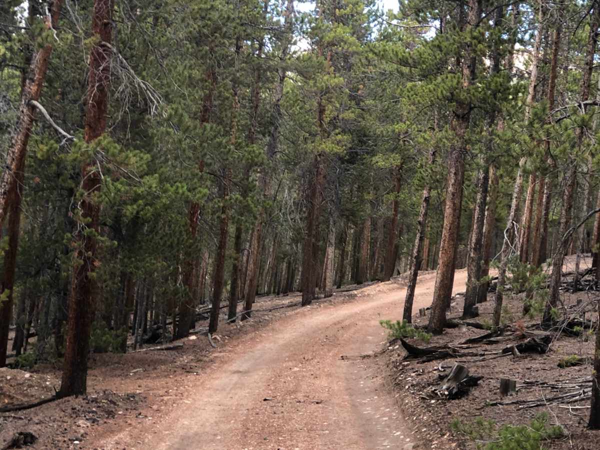 Hayden Gulch trail photo