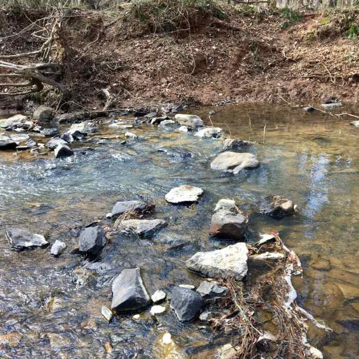 Near Lower Haw River State Natural Area