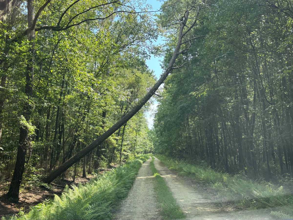 Litchfield Trail  trail photo