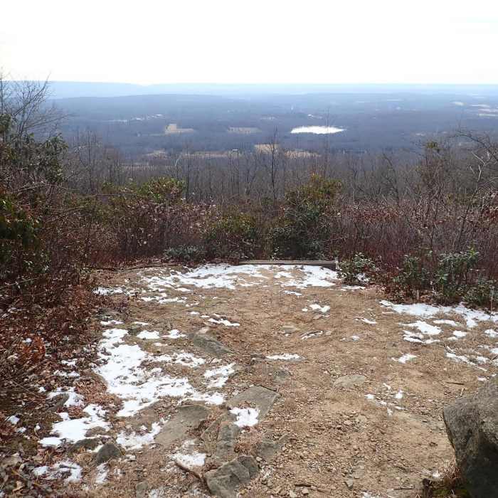 Near North/South Loop Near North/South Loop