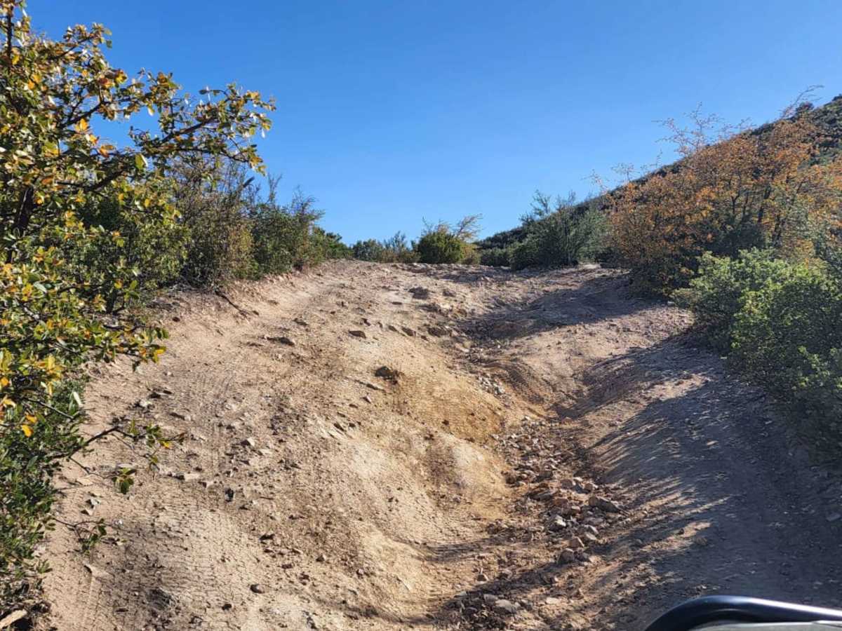 Jack Pine Road trail photo