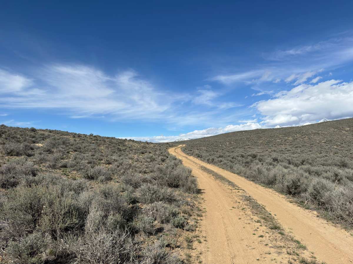 BLM 128 photo 3