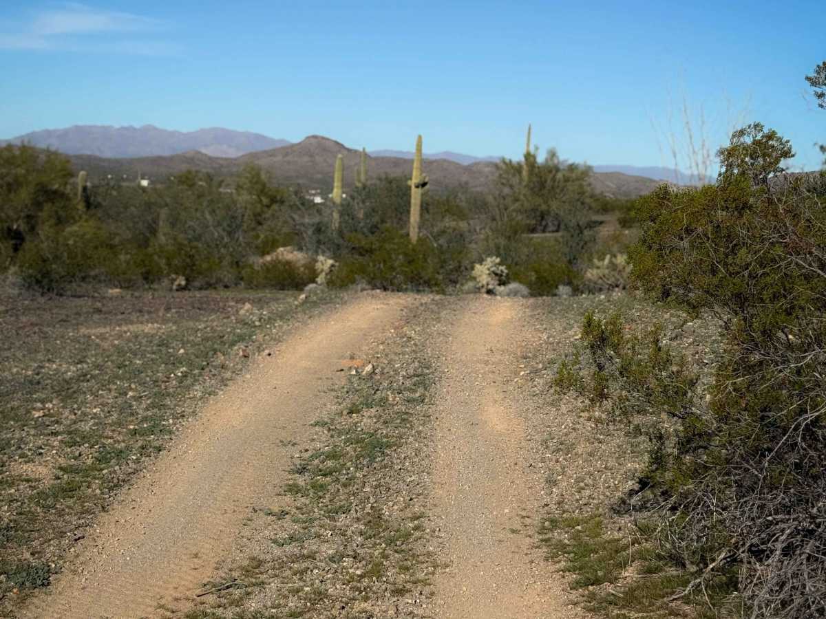 Creosote Run   photo 5