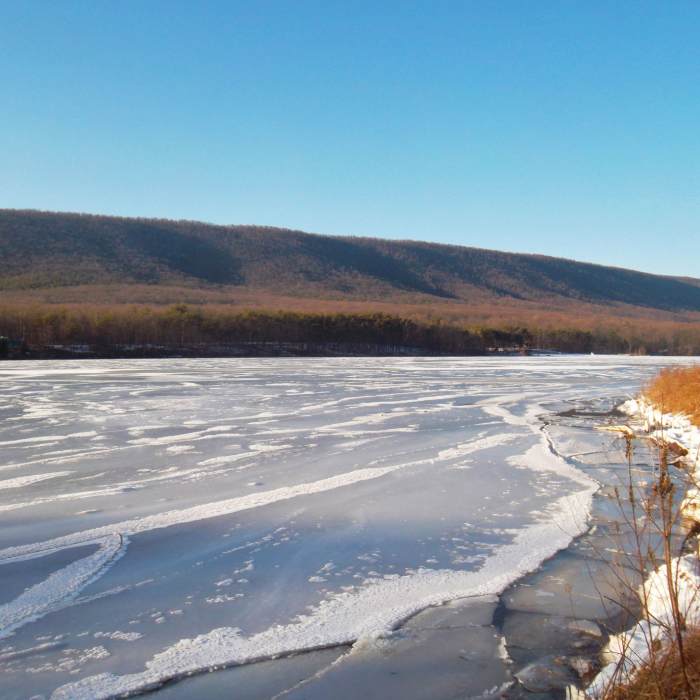 Near Lakeside Loop Trail