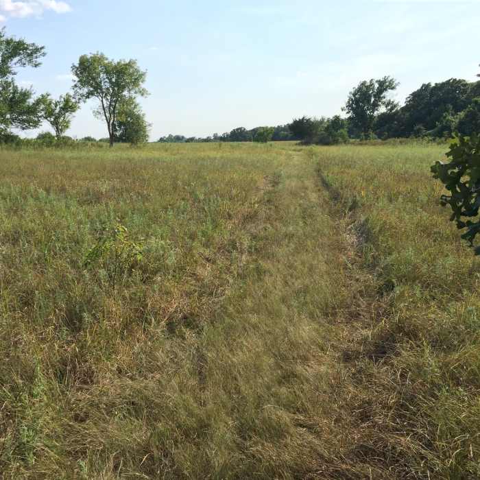 Prairie trail Near Chautauqua Hills: Yellow Loop