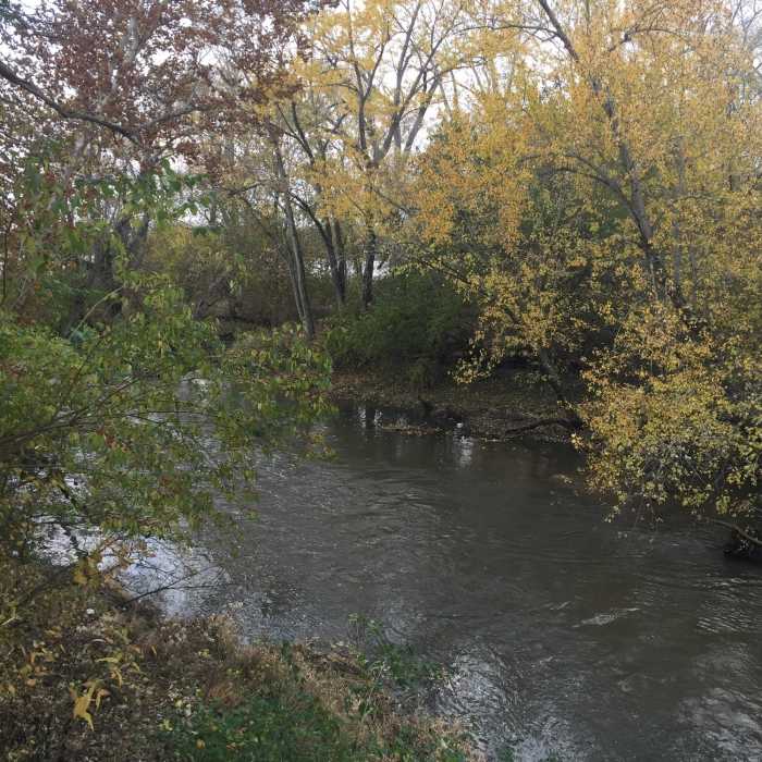 River Near South Loop Trail