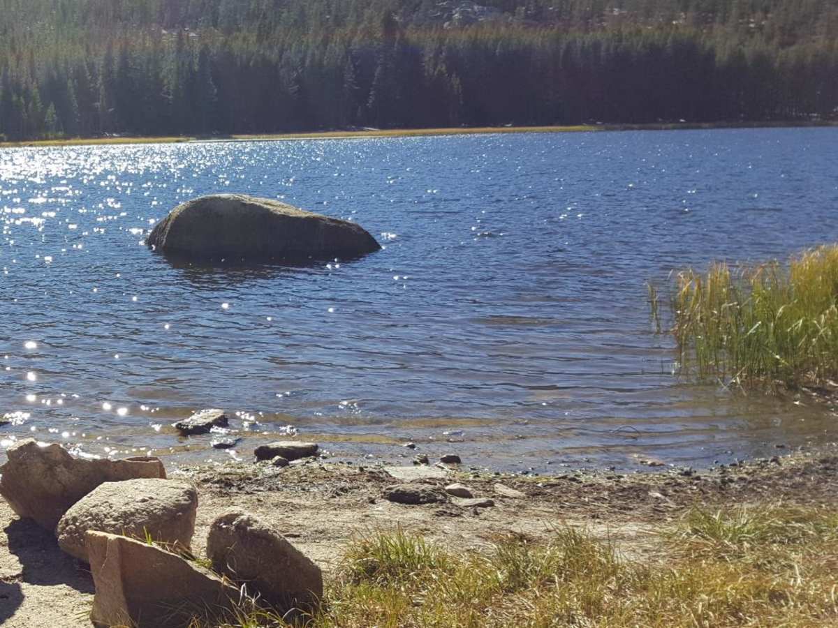 Burnside Lake Road - 31019 photo 4