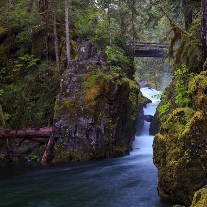 Near Opal Creek Hiking Trail
