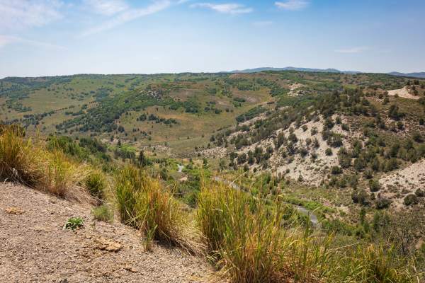 Sheep Creek - FS 70051