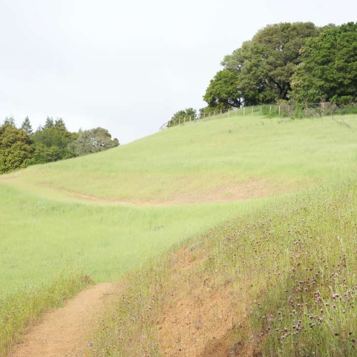 The trail wraps along the hillsides. Near Lost Creek Loop Trail