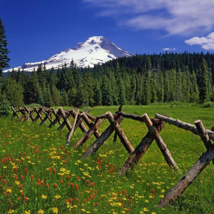 Near Trillium Bike Trail