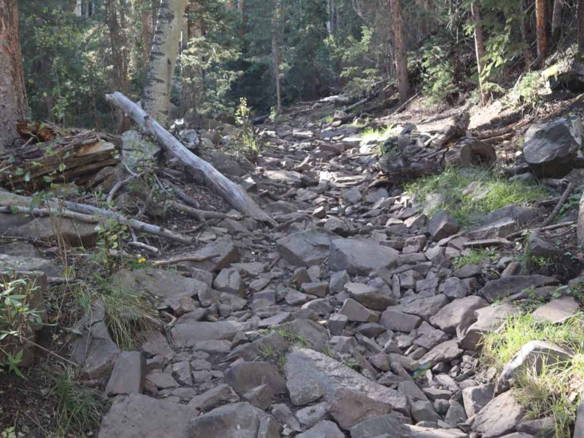Burro Creek Trail photo 4