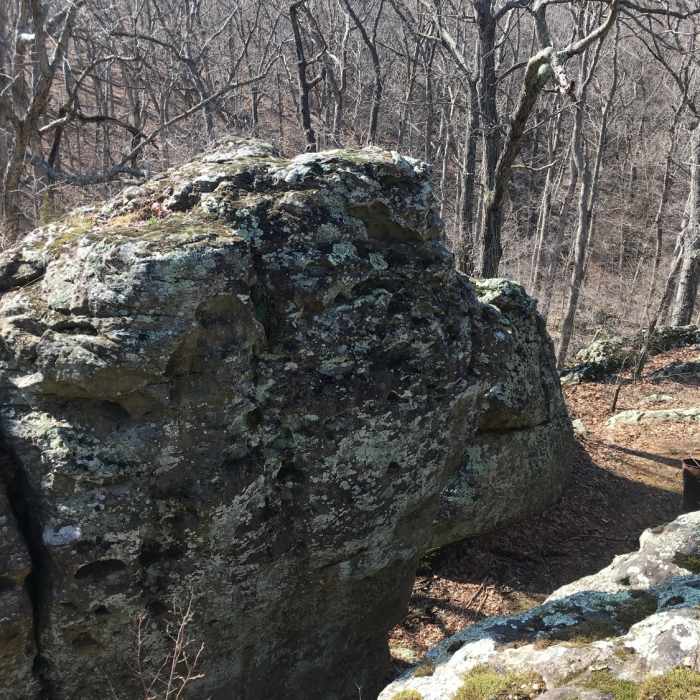 Near Frog Hollow Trail