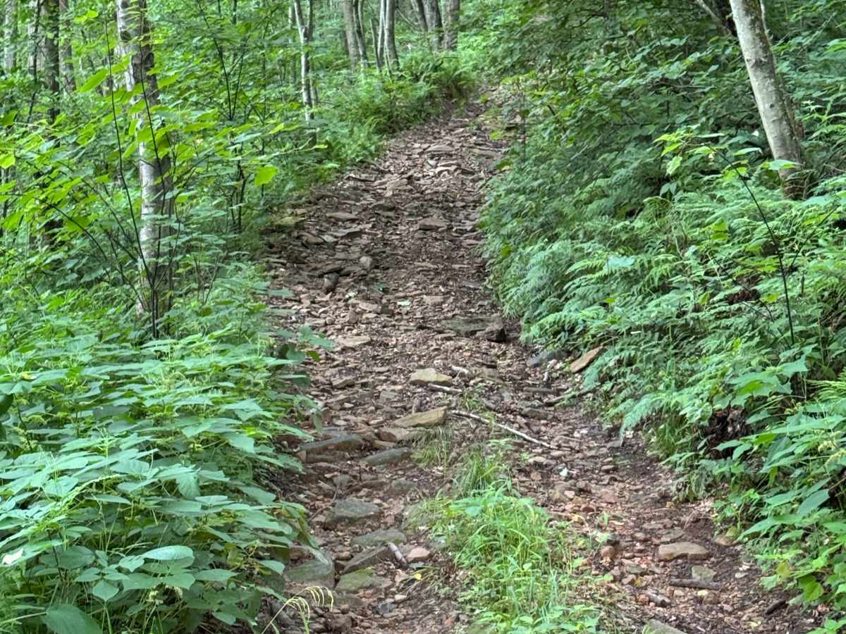 Trail 26 photo 6
