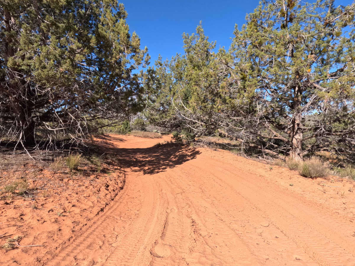 Squaw Trail  photo 3