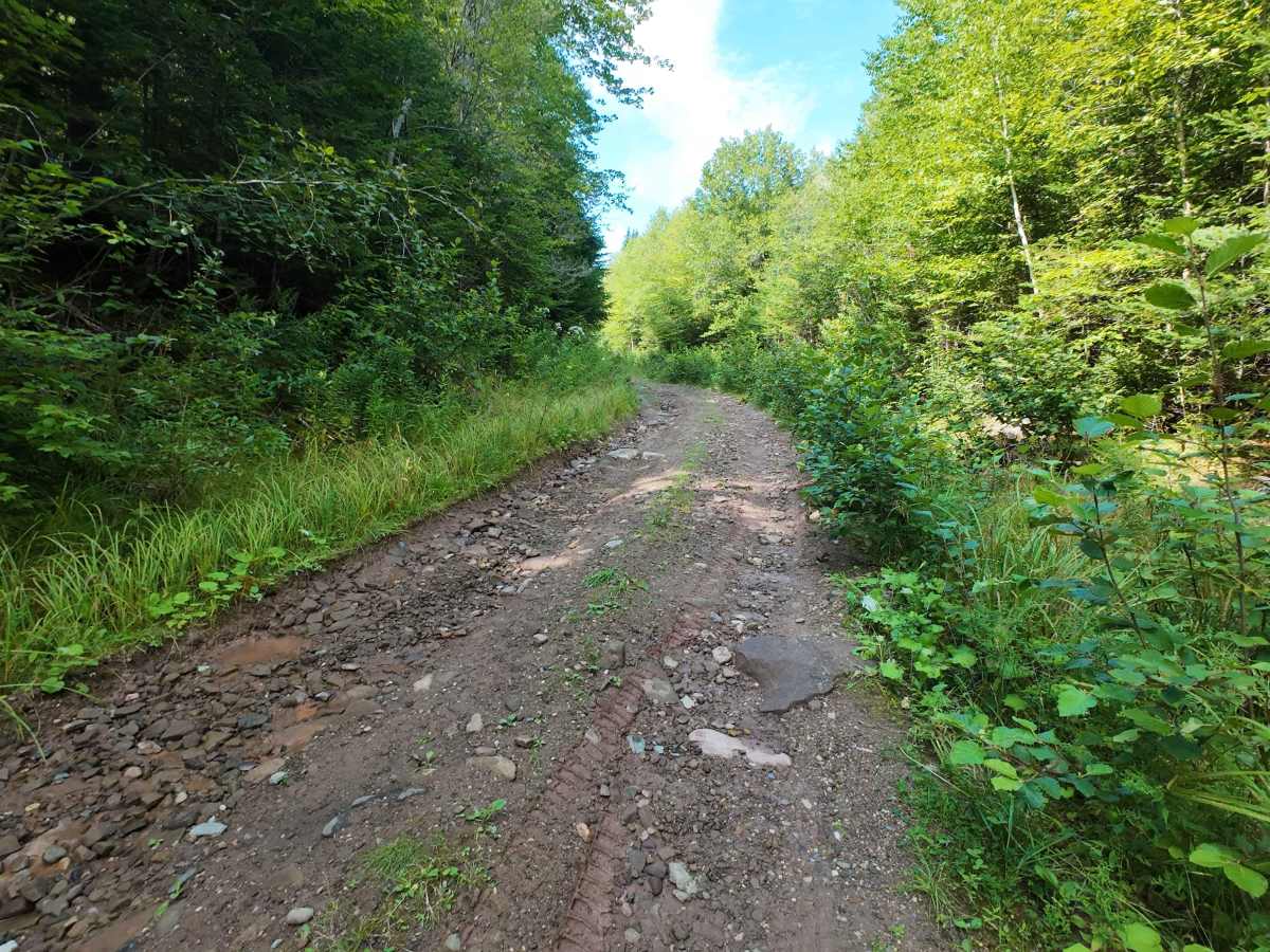Woodworth Settlement Road photo 5