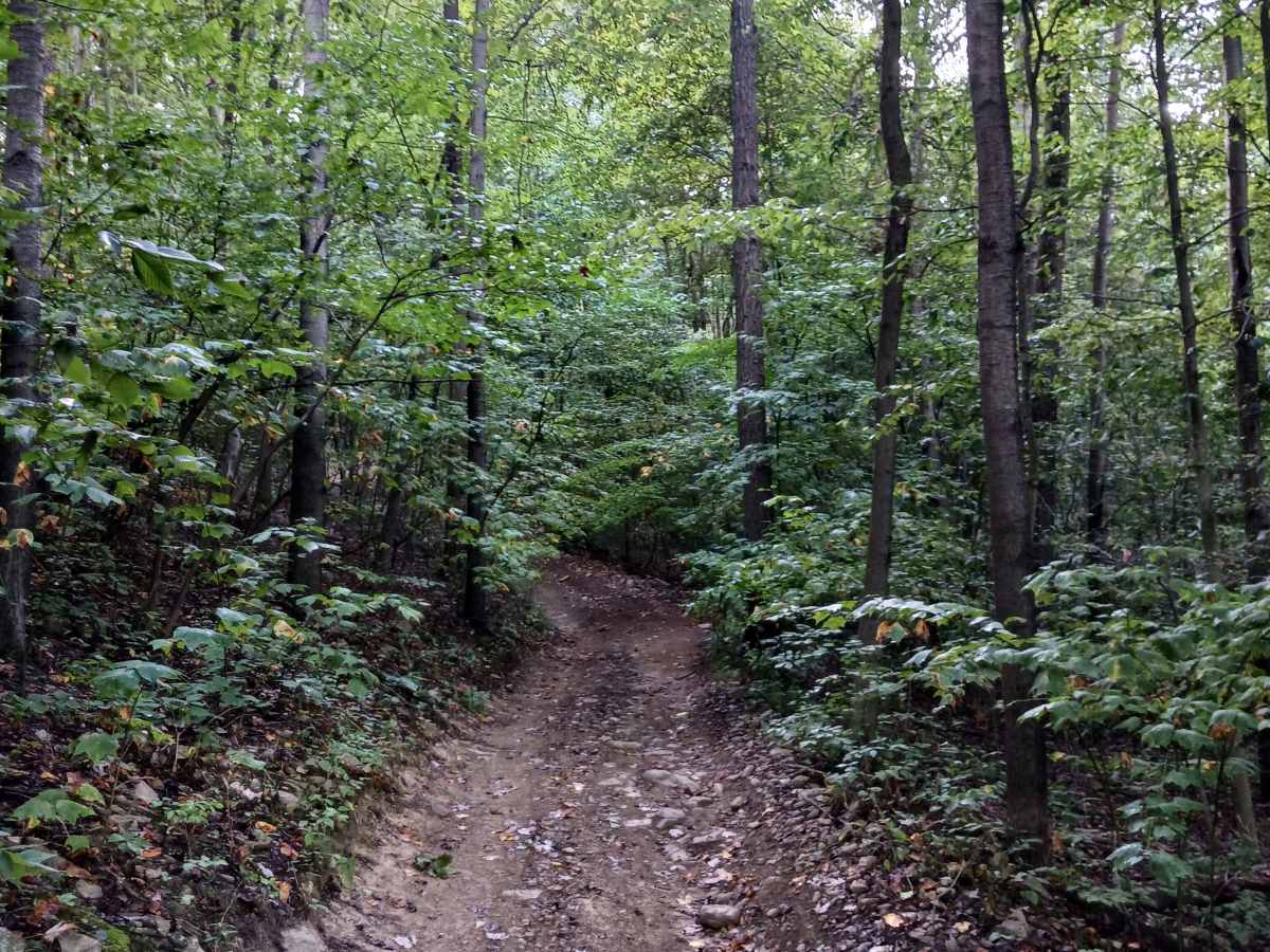 Rock Den - Rock Run Recreation Area photo 4