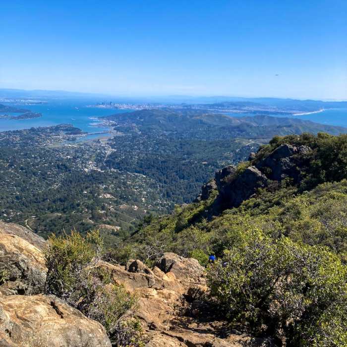 Near Mt Tamalpais via as Many Stairs as Possible (via Dipsea Stairs & Muir Woods)