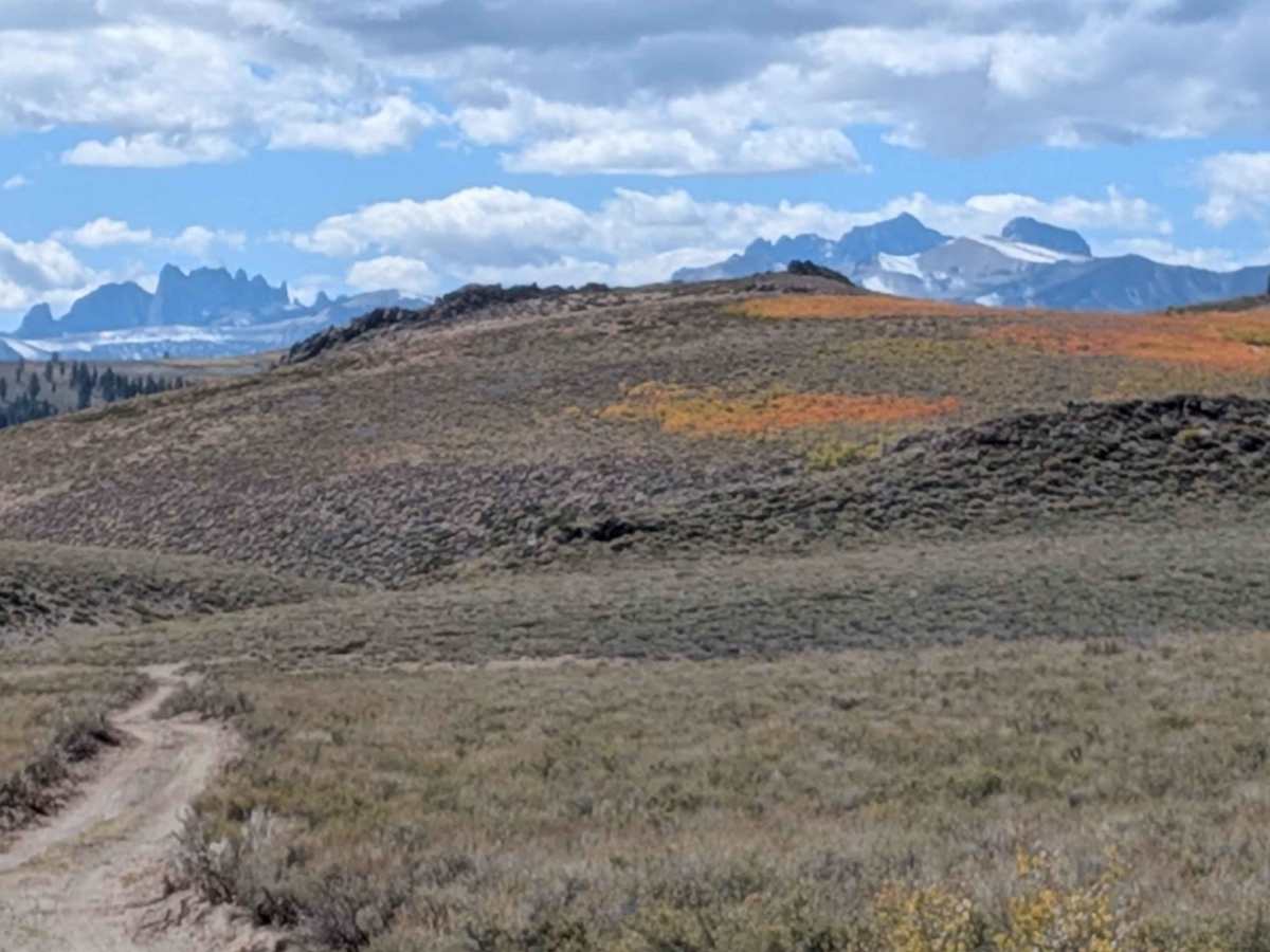 Pilot Springs photo 3