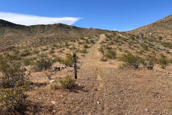 Lost Prospector